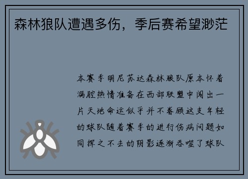 森林狼队遭遇多伤，季后赛希望渺茫