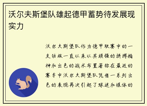 沃尔夫斯堡队雄起德甲蓄势待发展现实力